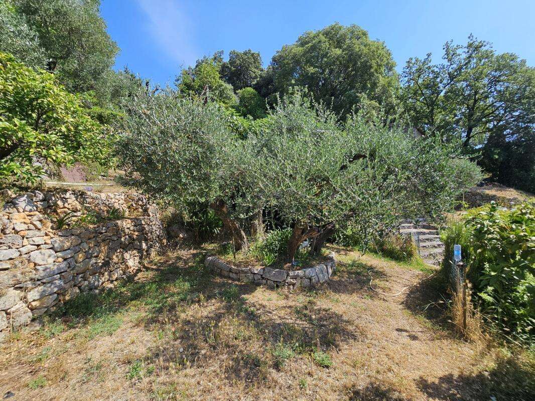 Maison à SPERACEDES