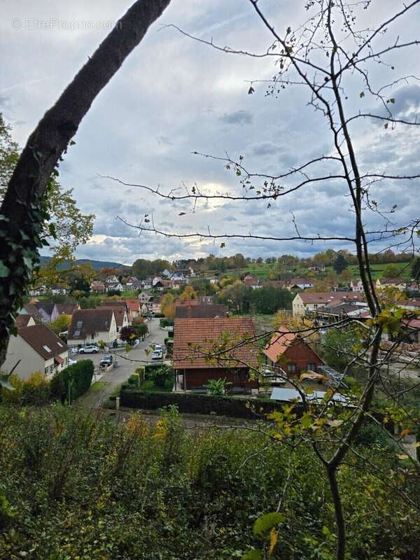 Terrain à NIEDERHASLACH