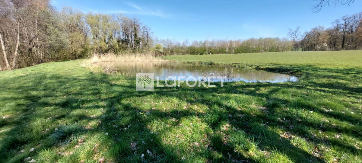 Terrain à GRANDVILLARS