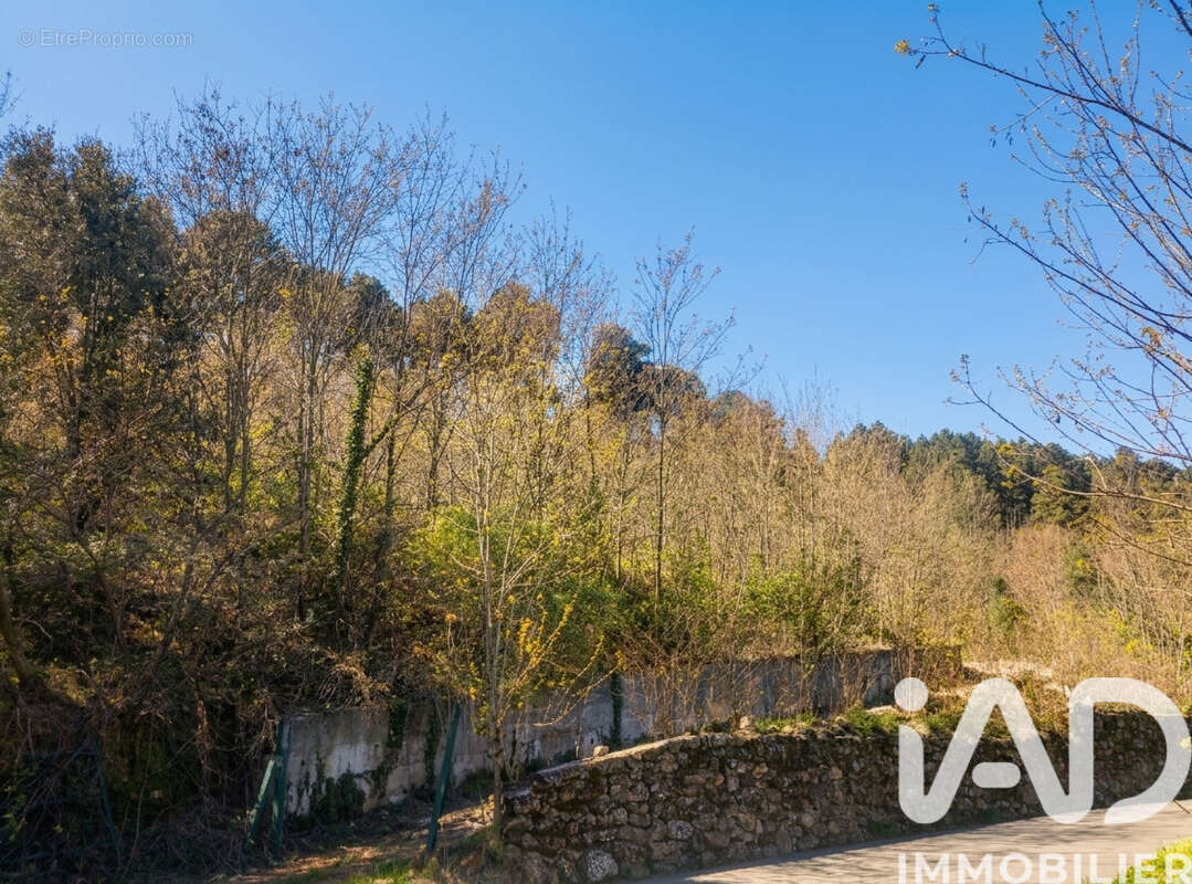 Photo 9 - Terrain à CHAMBONAS