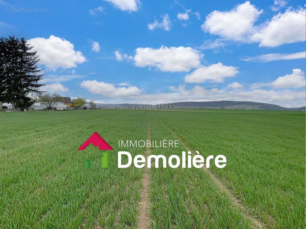 Terrain à MARLENHEIM