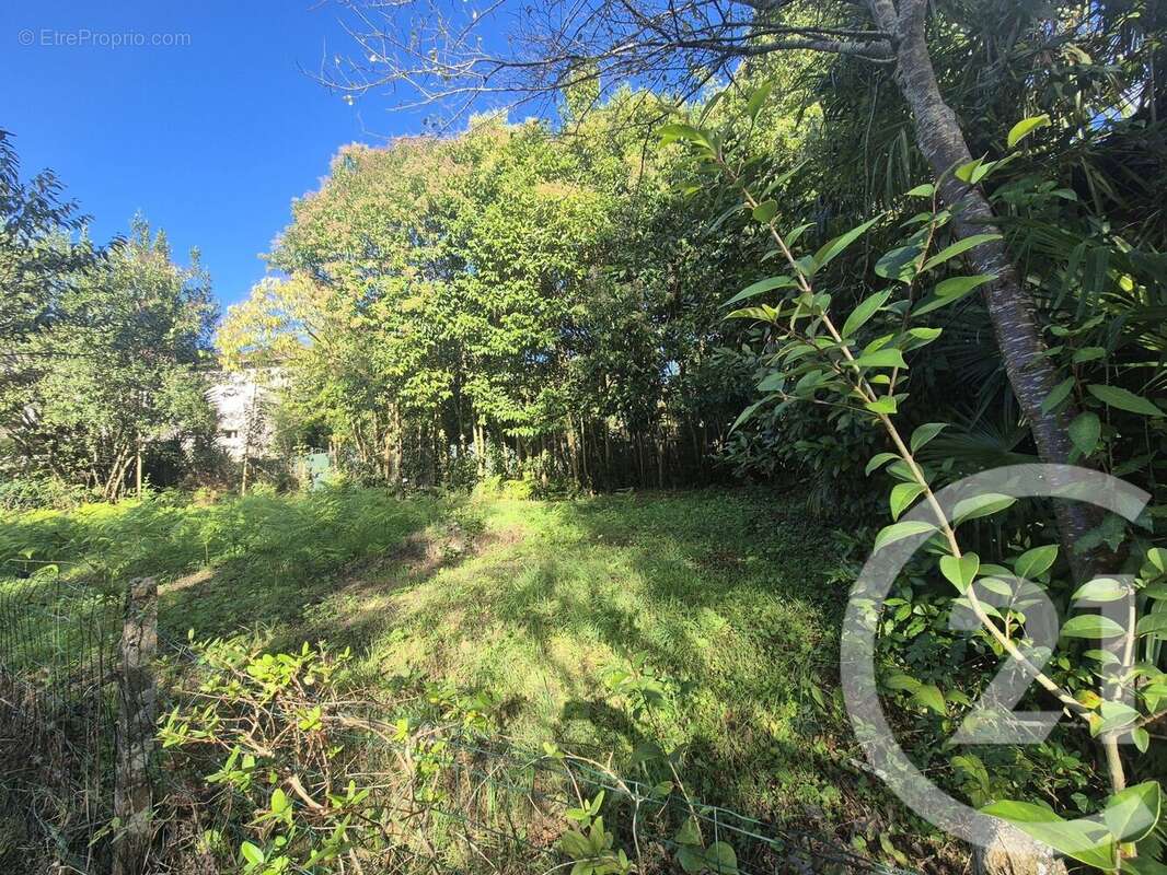 Autre à SAUVETERRE-DE-BEARN