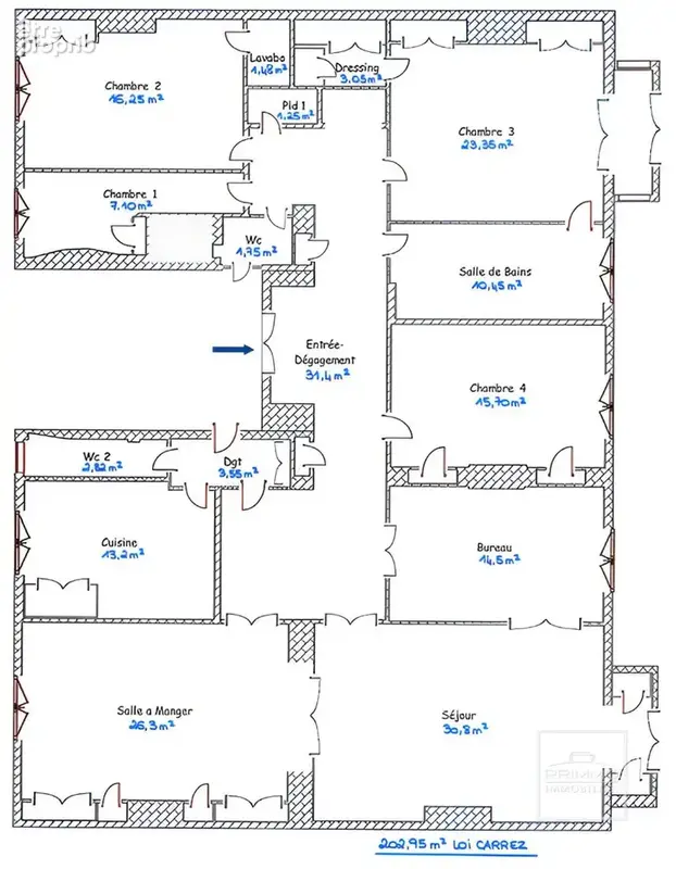 Lyon 6, bd des belges, 202.95m² + t2 + chambre service + garage - photo 18