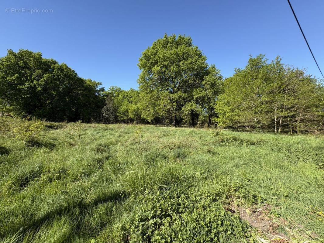 Terrain à CASTELNAU-DE-MEDOC