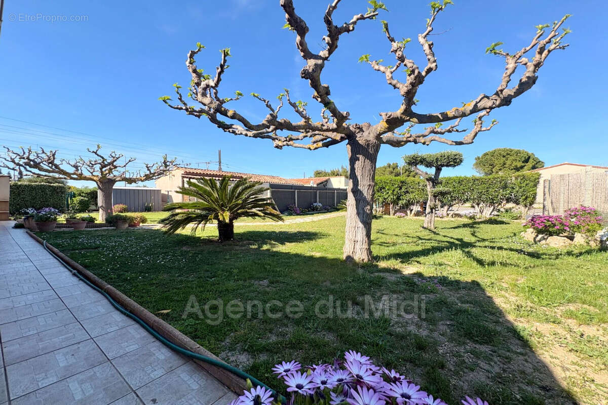 Maison à LEUCATE