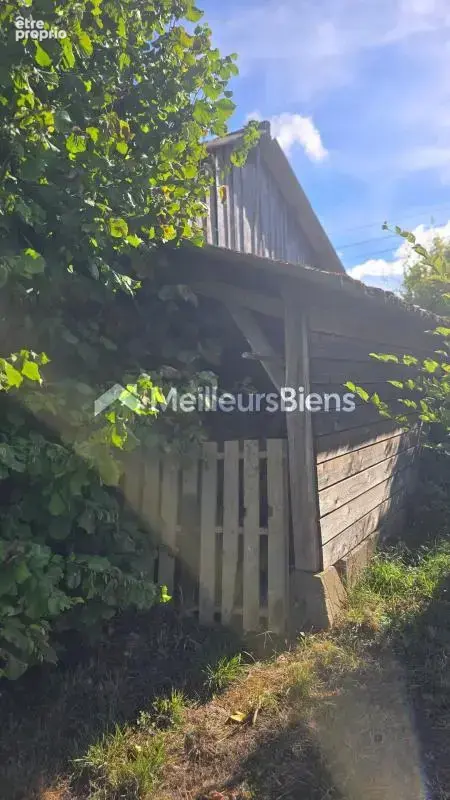 Terrain de loisirs avec hangar - photo 4