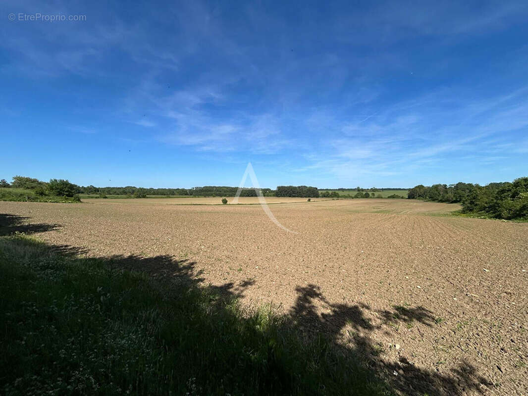 Terrain à PRESLES-EN-BRIE