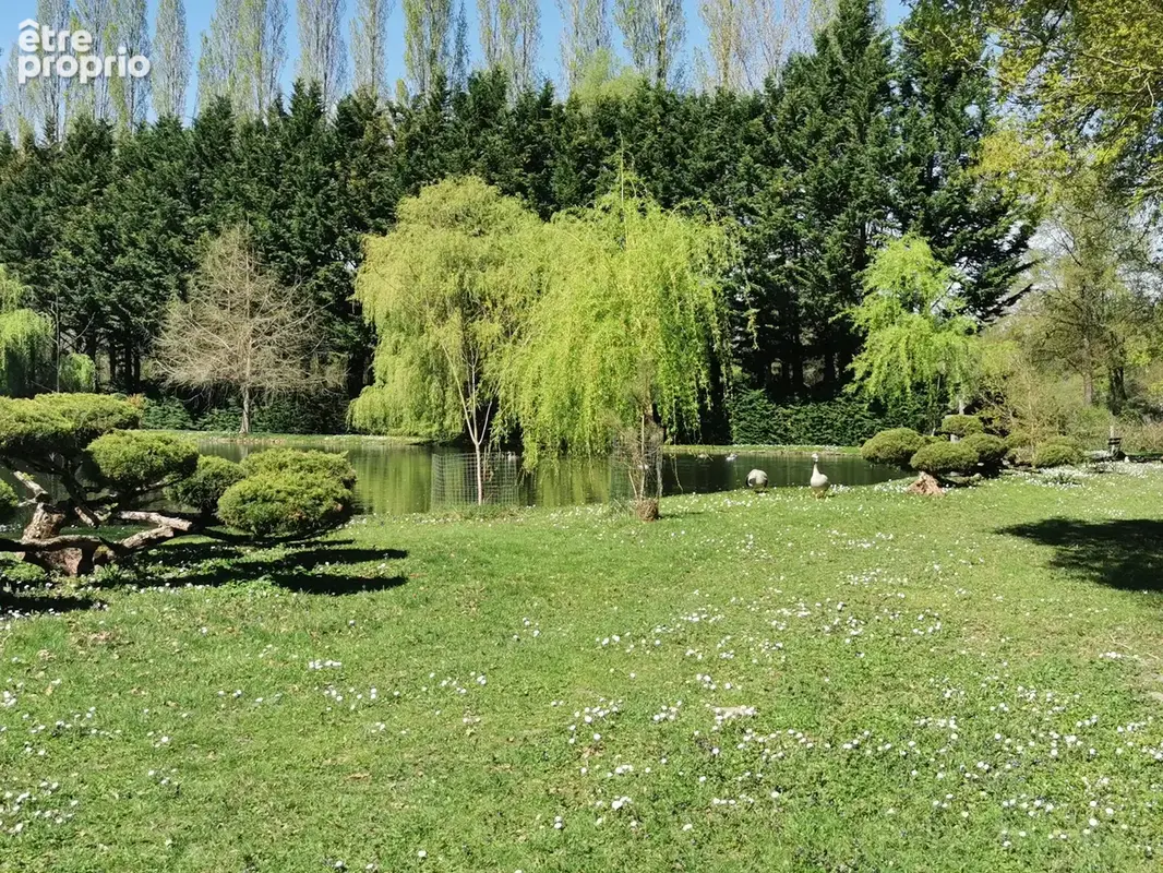 Propriete en sologne avec etang - photo 17