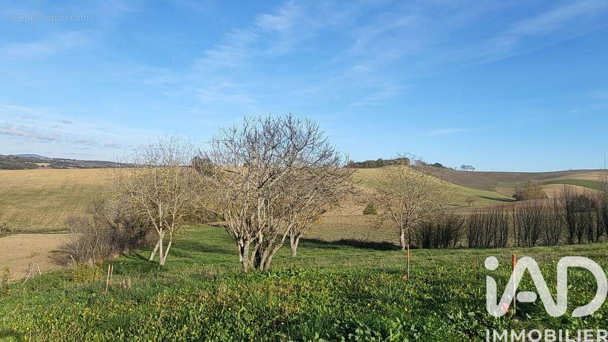 Photo 1 - Terrain à MONTGAILLARD