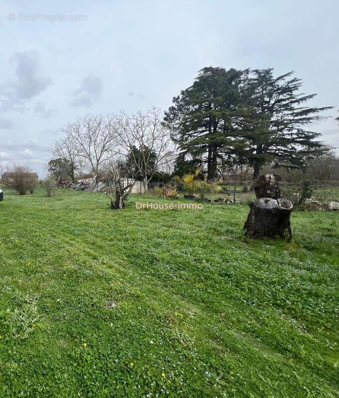 Terrain à PORTET-SUR-GARONNE