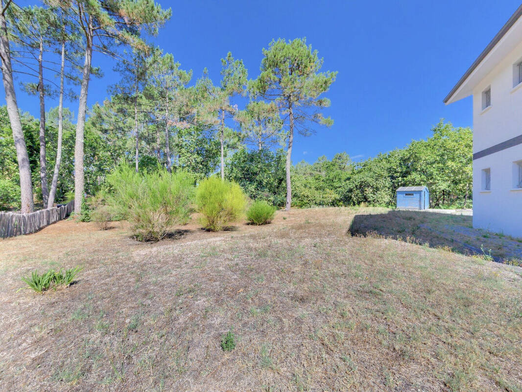 Maison à LEGE-CAP-FERRET