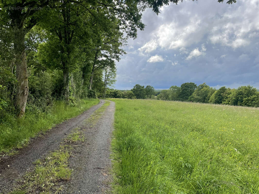 Maison de campagne percheronne en bout de chemin - photo 9