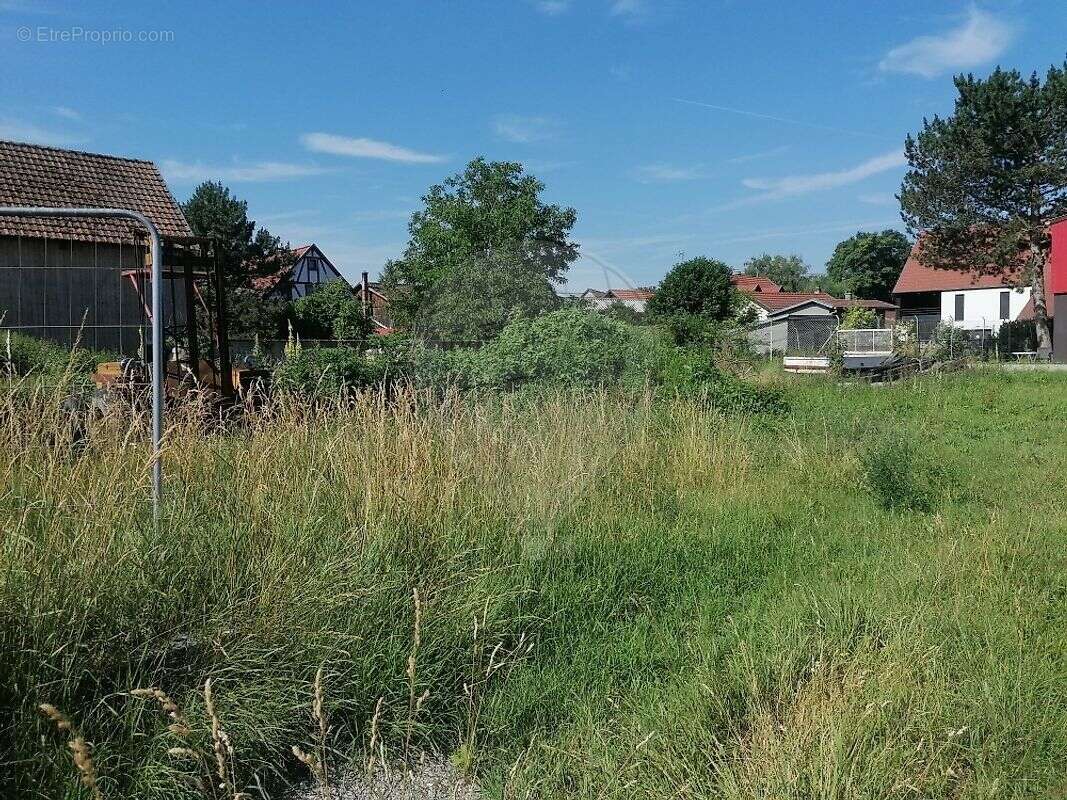 Terrain à OHNENHEIM