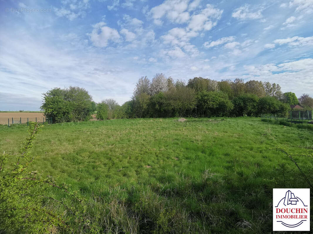 Terrain à CONTEVILLE