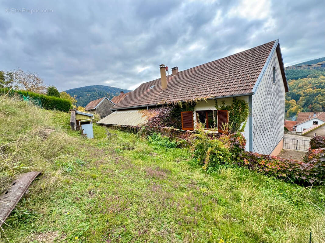 Maison à NATZWILLER