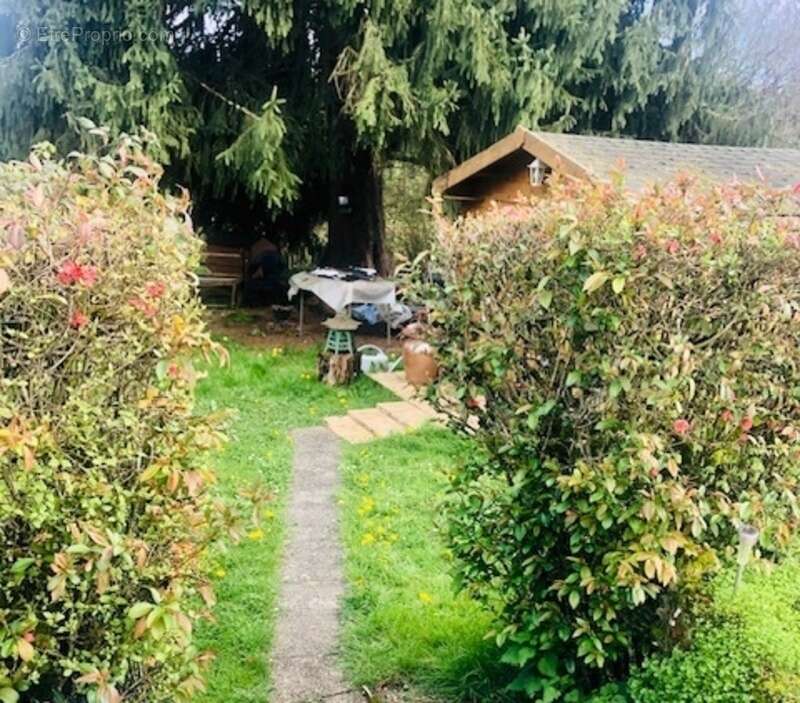 Dpt Yonne (89), à vendre TREIGNY maison 4 pièces sur deux niveaux parcelle de 980m² - photo 17