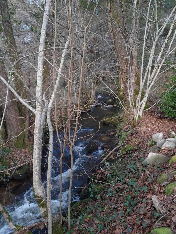 Photo 4 - Maison à SOUSCEYRAC