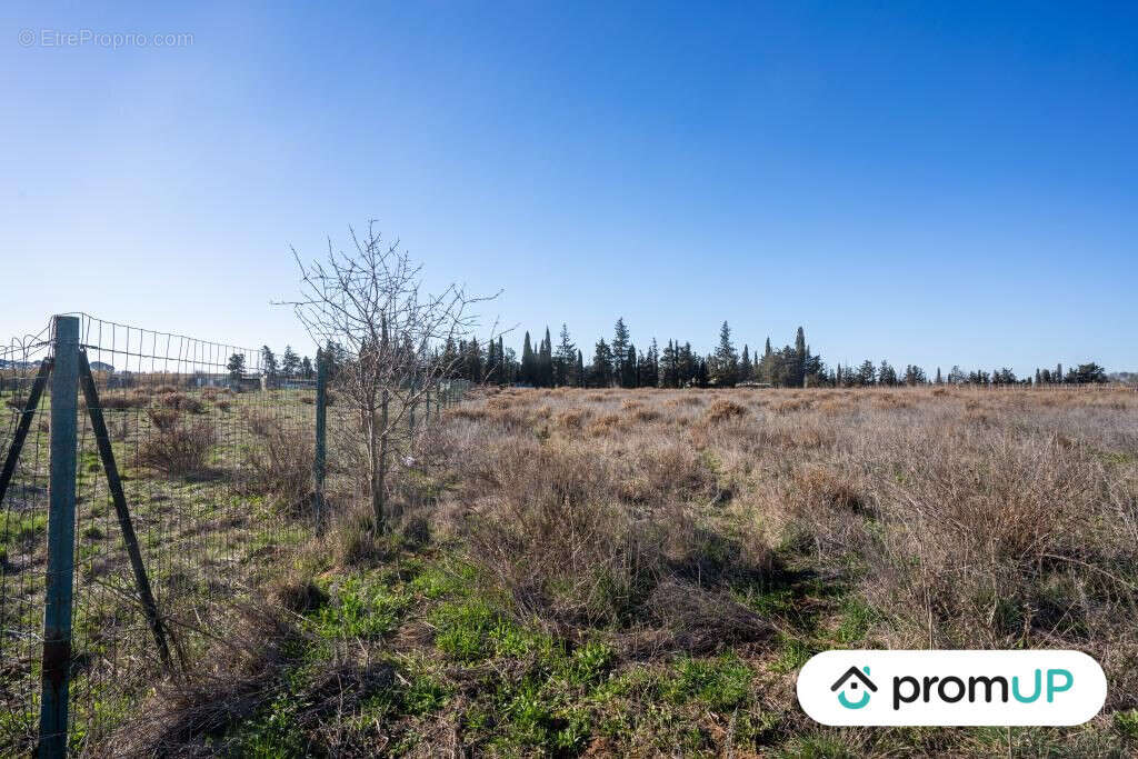 Terrain à PORTIRAGNES