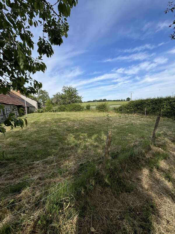 Maison à SAVIGNY-EN-SANCERRE