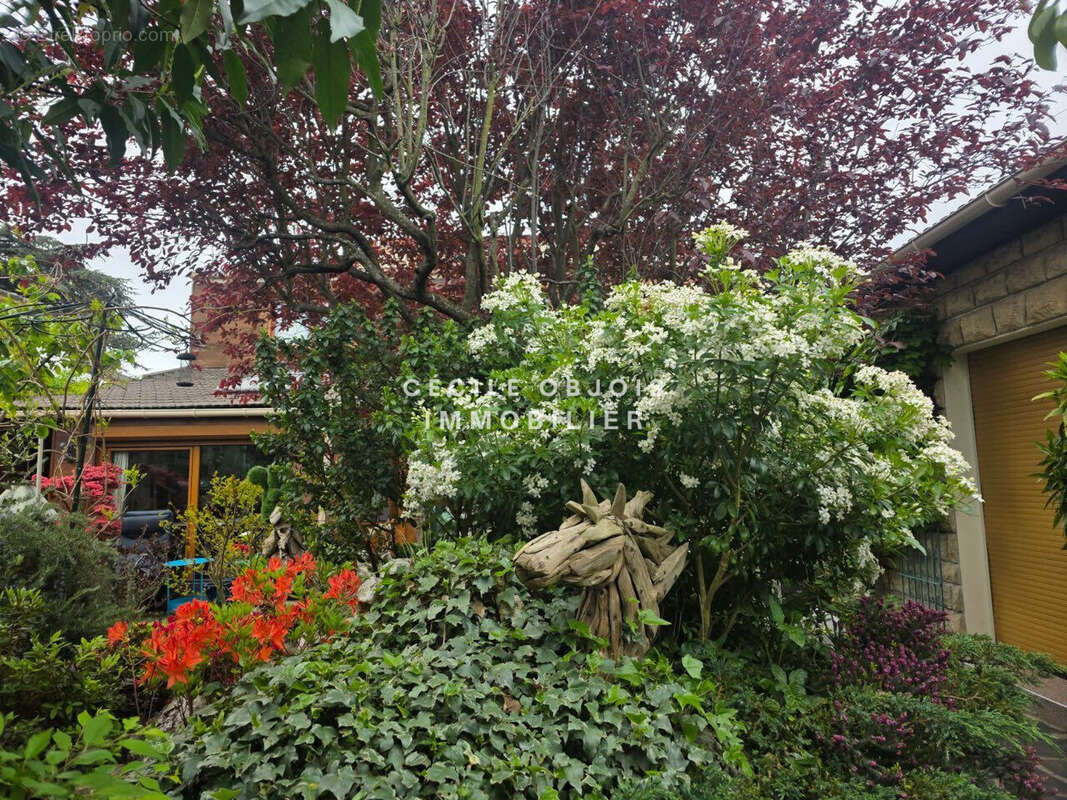 Maison à JOINVILLE-LE-PONT