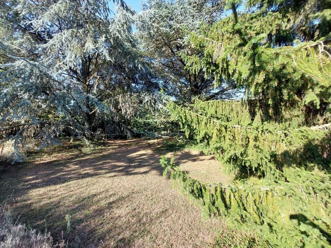 Terrain à SAINT-BONNET-DE-MURE