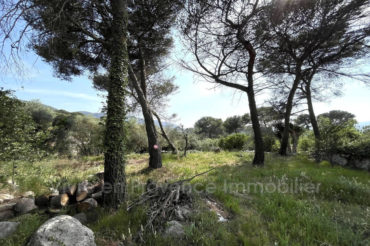 Terrain à DRAP