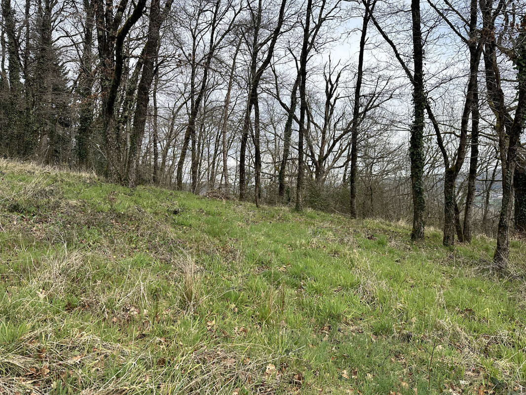 Terrain à LIVINHAC-LE-HAUT