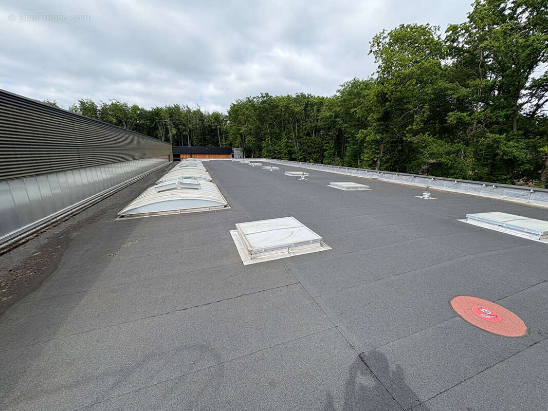 Commerce à SAINT-ETIENNE-DU-ROUVRAY