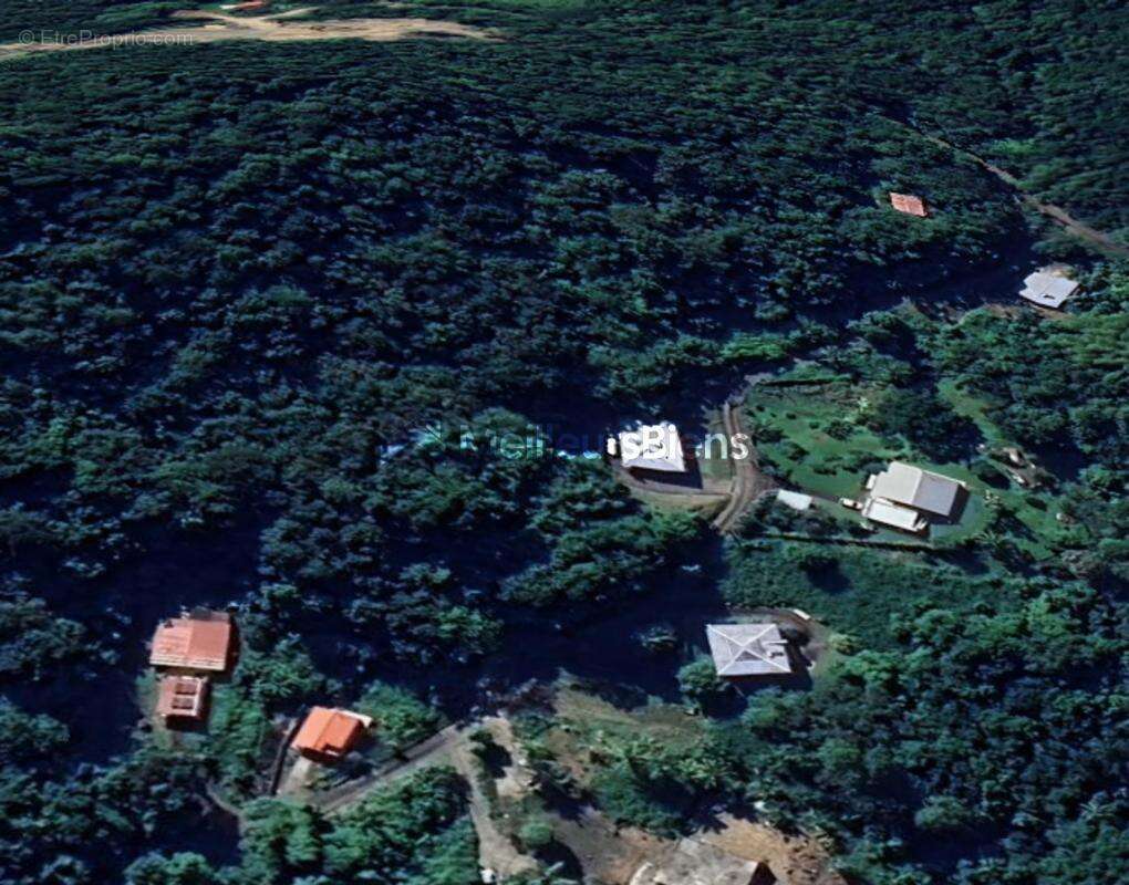 Rivière-Salée 97215 : terrain de 1 596 m² avec 1 114 m² constructibles - photo 5