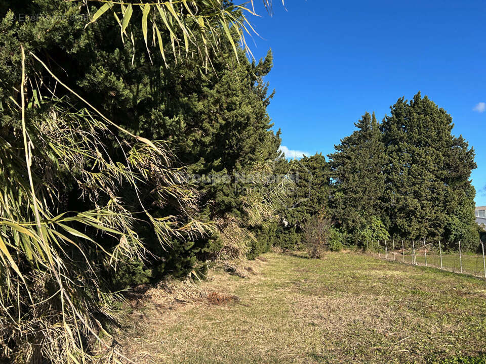 Terrain 400 m² à Vacqueyras  - photo 2