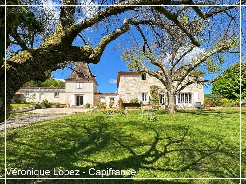 Golfech, à 10 minutes, propriété de charme au cœur de la nature sur plus de 15 hectares - photo 11