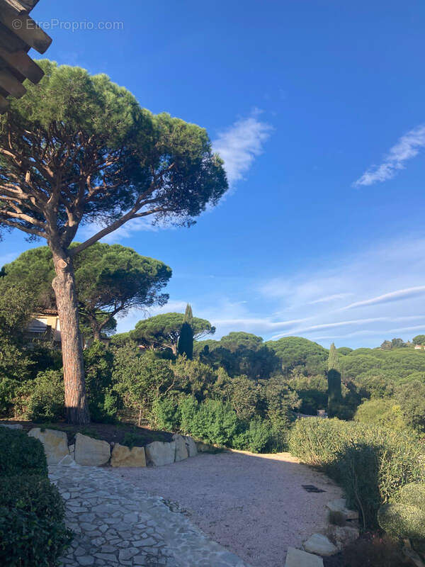 Maison à SAINTE-MAXIME