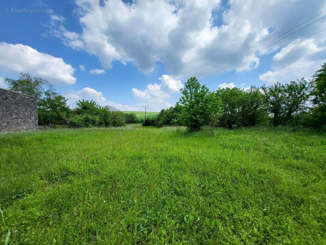Terrain à LOZAY