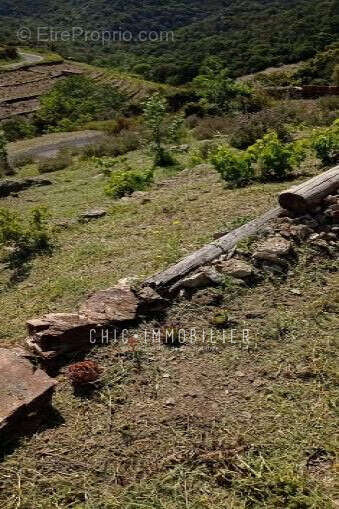 Terrain à COLLIOURE