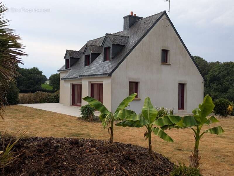 Plouay en campagne belle maison de 6 pièces  150m² environ habitable sur parcelle de 2938m² - photo 2