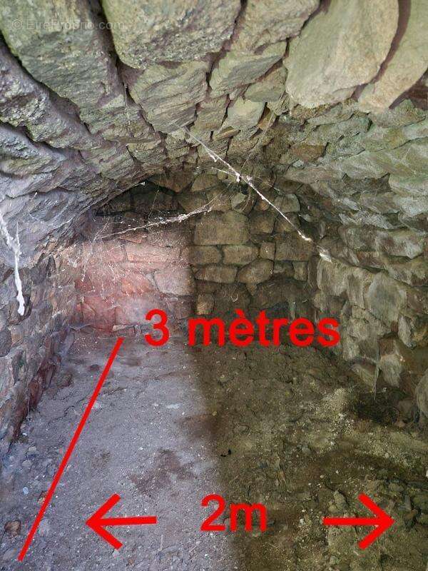 Maison à SAINT-ALBAN-SUR-LIMAGNOLE