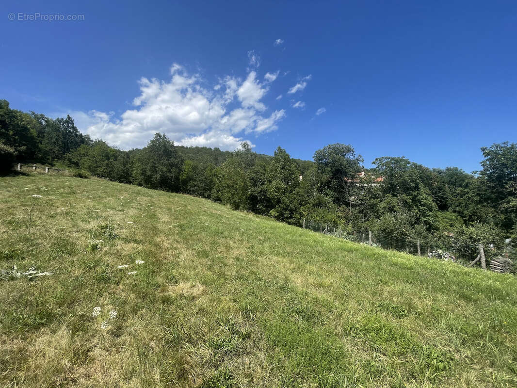 Terrain à PRATS-DE-MOLLO-LA-PRESTE