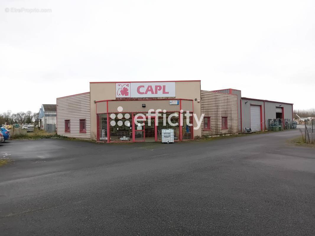 Commerce à BOURGUEIL