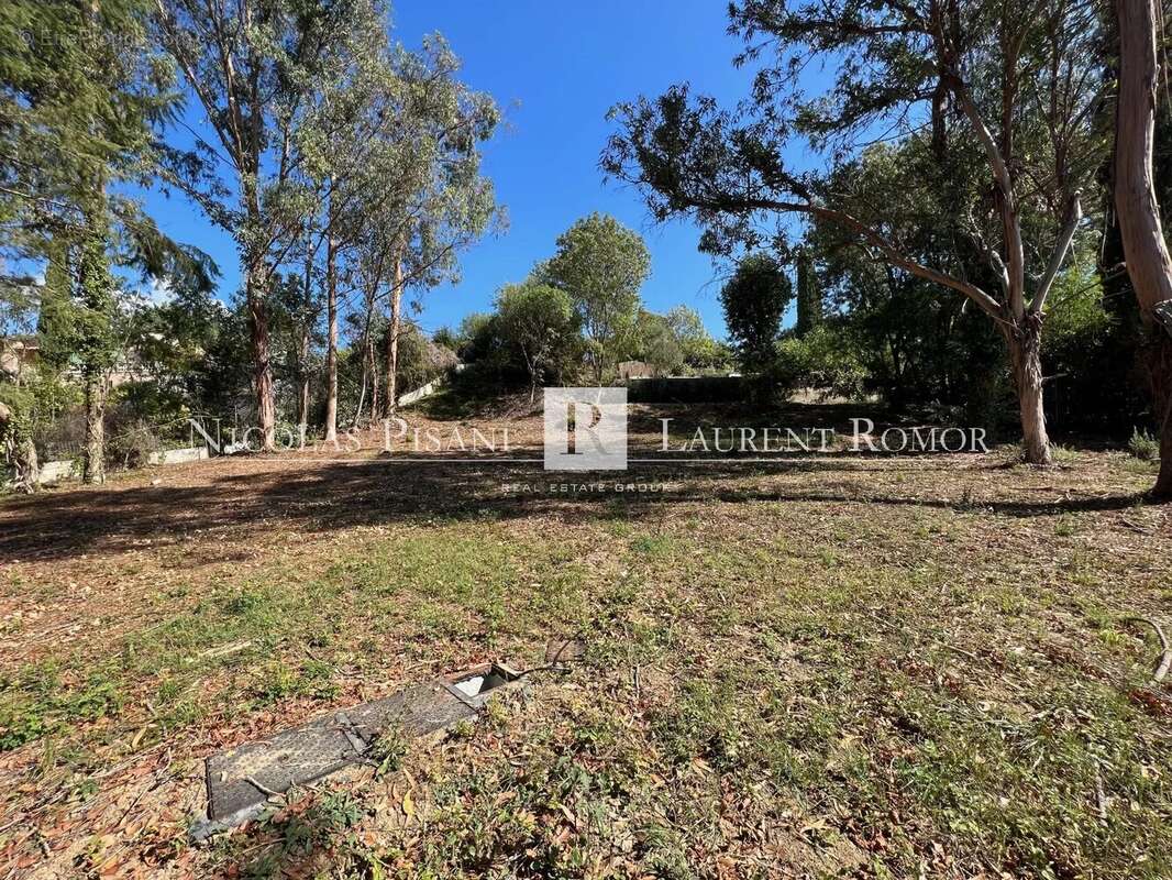 Terrain à SAINT-PAUL