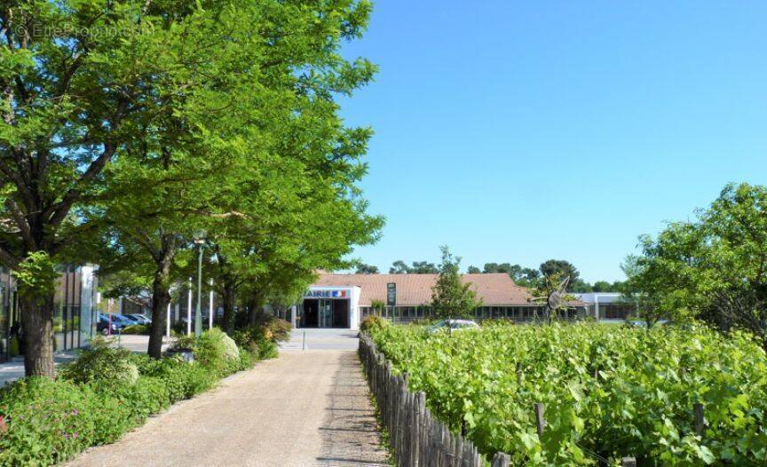 Terrain à SAINT-AUBIN-DE-MEDOC