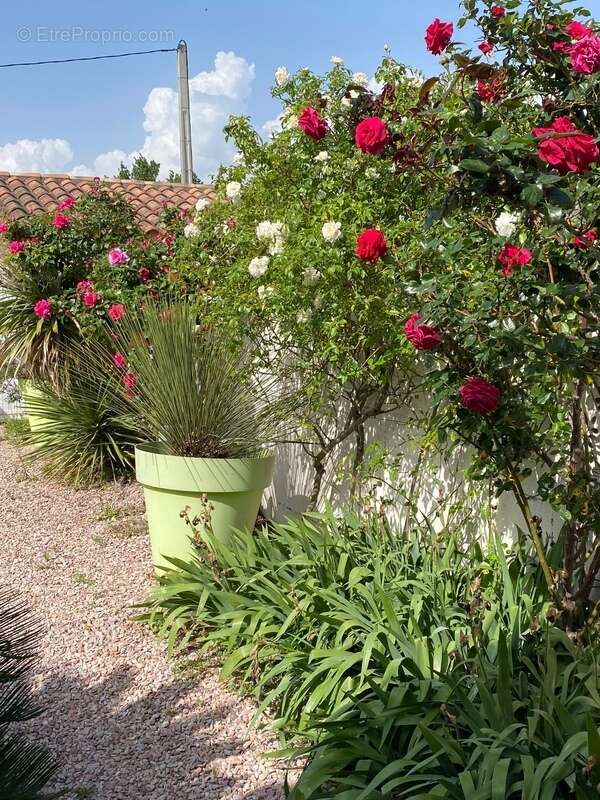 Maison à RIEUX-MINERVOIS