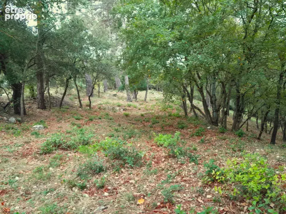 Terrain à SAINT-MAXIMIN-LA-SAINTE-BAUME
