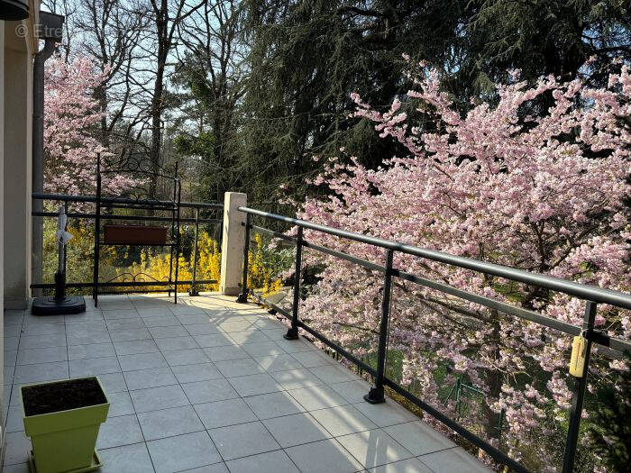 Appartement à WITTELSHEIM