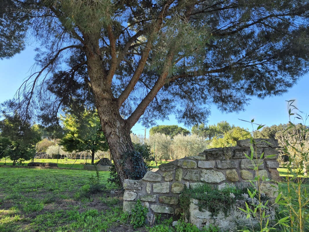 Maison à PEZENAS