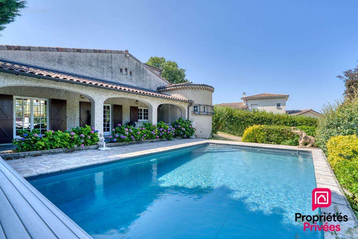 Ternay- propriete de caractere avec piscine - terrain 4 297 m² - photo 6