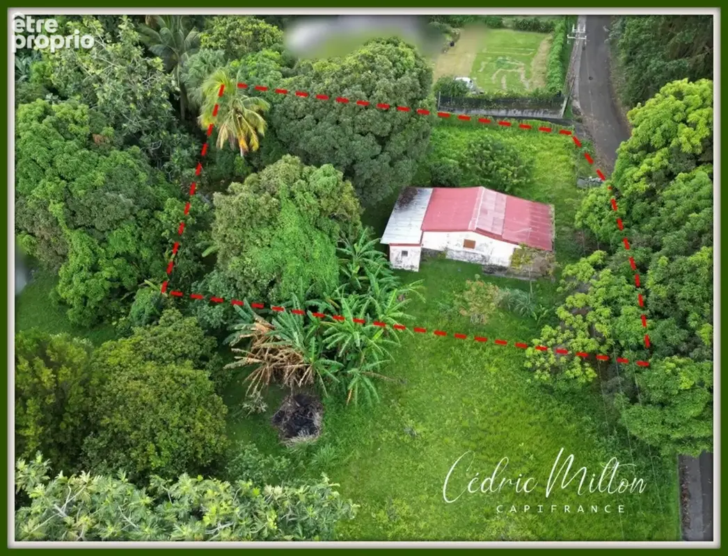 Terrain plat de 1300 m² – au Gros-Morne - photo 5