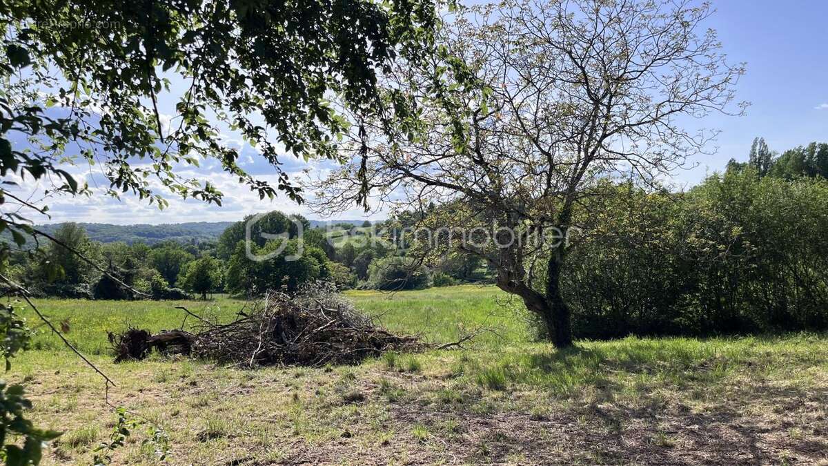 Terrain à PEYRIGNAC