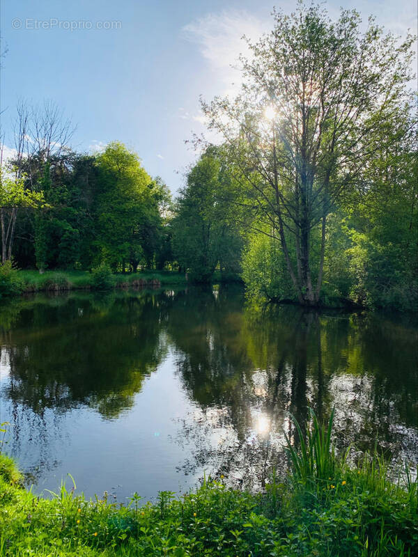 Terrain de loisir avec etang et chalet amenage 32m2 - photo 4