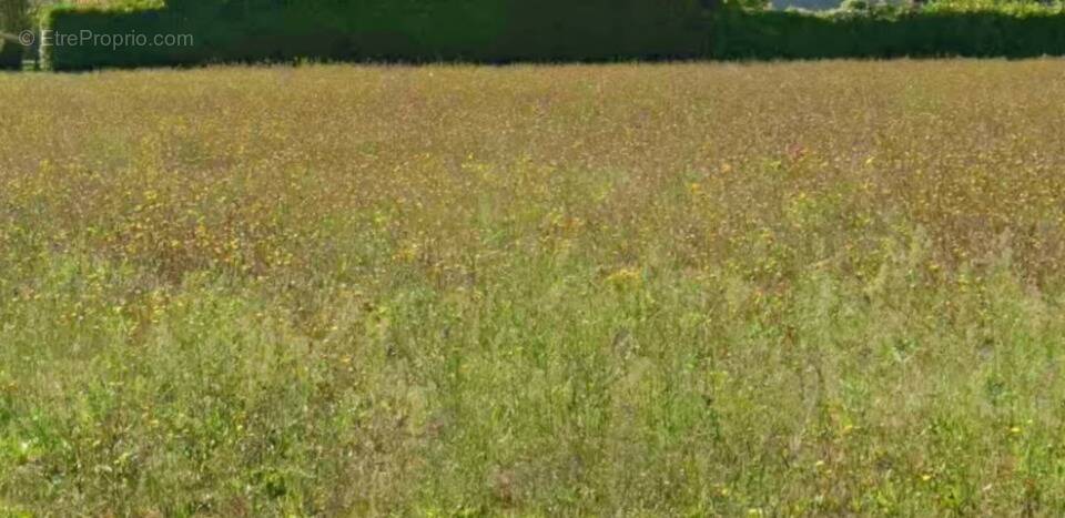 Photo Terrain à Aigrefeuille-D'aunis au prix de 70 600€