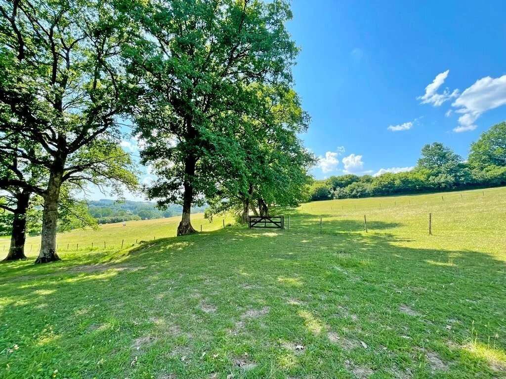 Exclusivité – Bourgogne, Morvan des Lacs – Secteur DUN-LES-PLACES - Une propriété de plus de 15 hectares, idéale pour une activi - photo 6